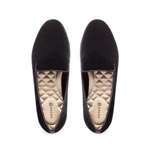 Birdies The Starling